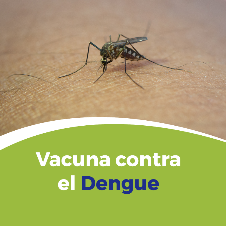 vacuna contra el dengue