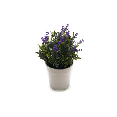 Benabi Maceta De Plastico 20X8.5Cm