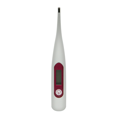 Termometro Iraola Digital T11