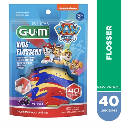 Hilo Dental Gum Paw Patrol Kids Flosser x40un