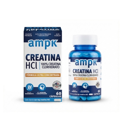 Ampk Creatina HCL Ultra Concentrada x60 Capsulas
